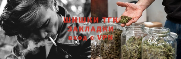сатива Нязепетровск