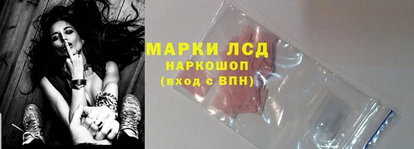 сатива Нязепетровск