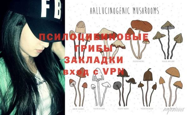 не бодяженный Няндома