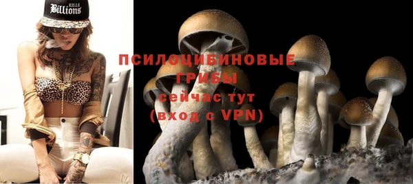 не бодяженный Няндома